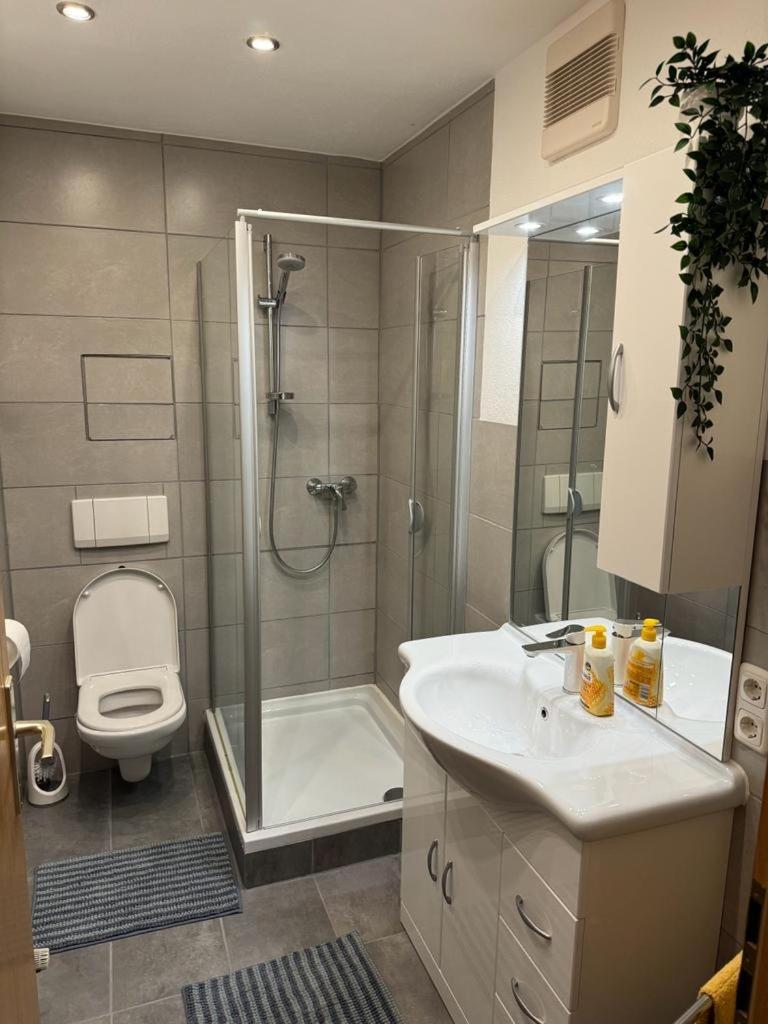 Apartment Apartment, 2p, Wifi, Kueche, Modern, Ruhig, Zentral *