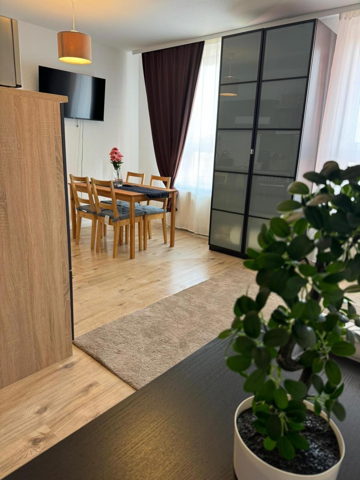 Apartment, 2p, Wifi, Kueche, Modern, Ruhig, Zentral